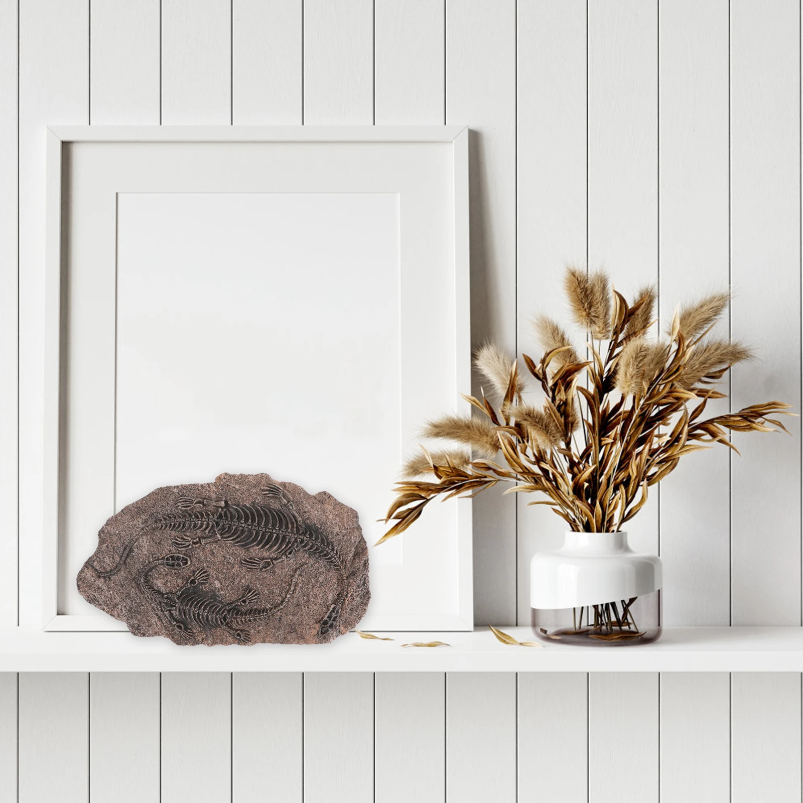 

Dinosaur Skull Resin Sturdy Educational Ornament Home Decoration Dinosaur Party Favor Paleontology