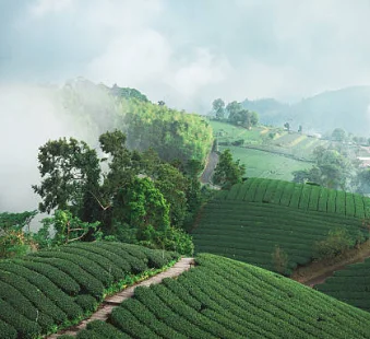 

Аппарат для гидропилинга 3-в-1 с кислородной струей и CO2-пузырьками для отшелушивания – Прямые поставки с завода, цена от производителя, прибор для ухода за кожей и красоты