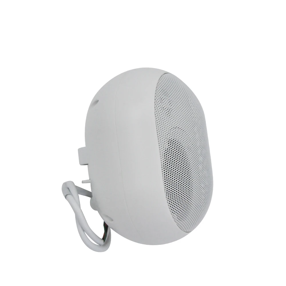 15W High Quality Outdoor Wall Mount Speaker Box Slim Stereo Pa Speaker for Park School Shopping Mall Background Music Player