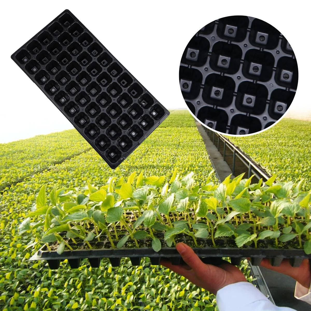 

5 Pcs Flower Pot Seedling Tray Succulent Plant Thicken Mini Black Small Hexagon Ornament