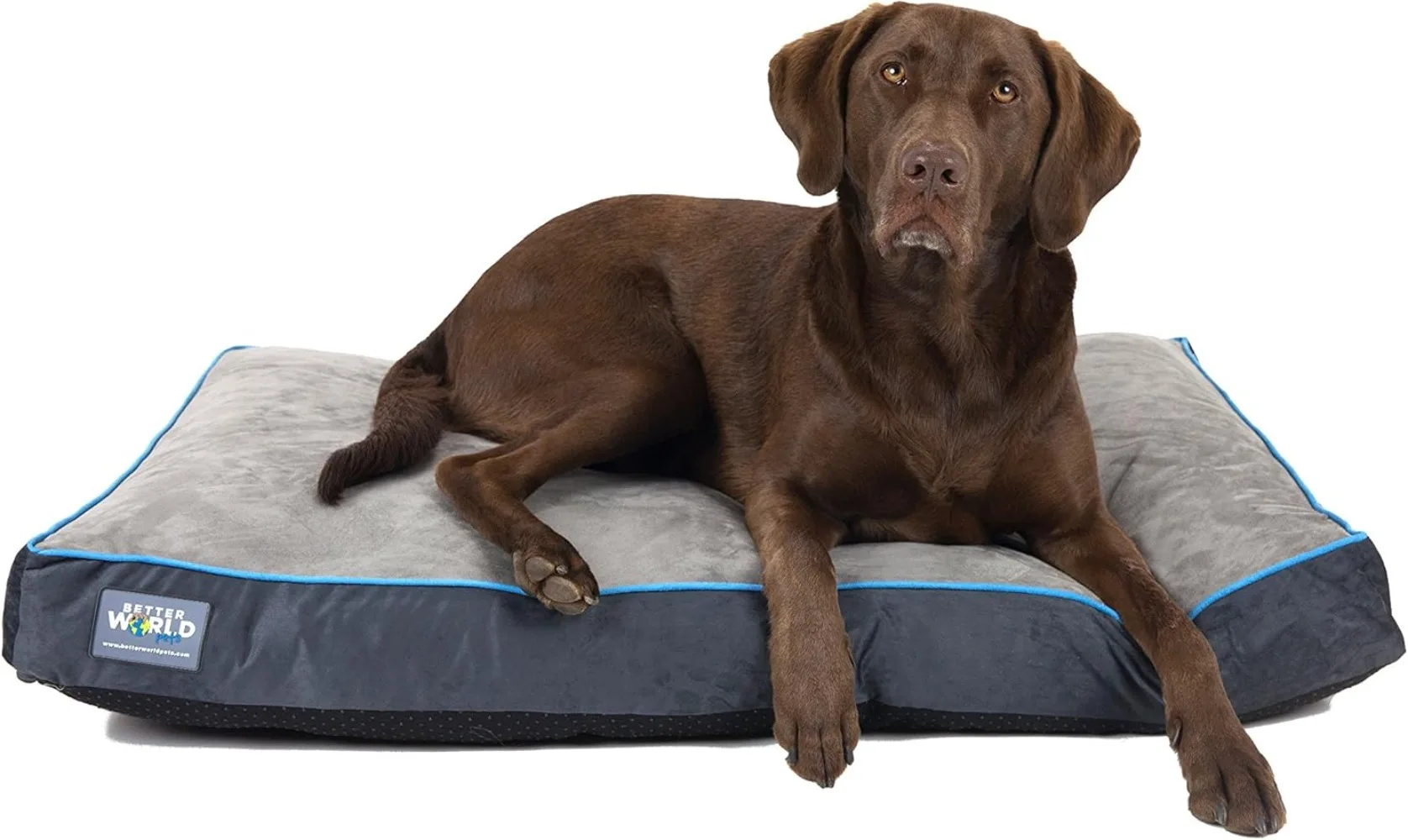 5-inch Thick Orthopedic Dog Bed | Pure Premium Shredded Memory Foam Ideal for Aging Dogs | Waterproof Removable Washable