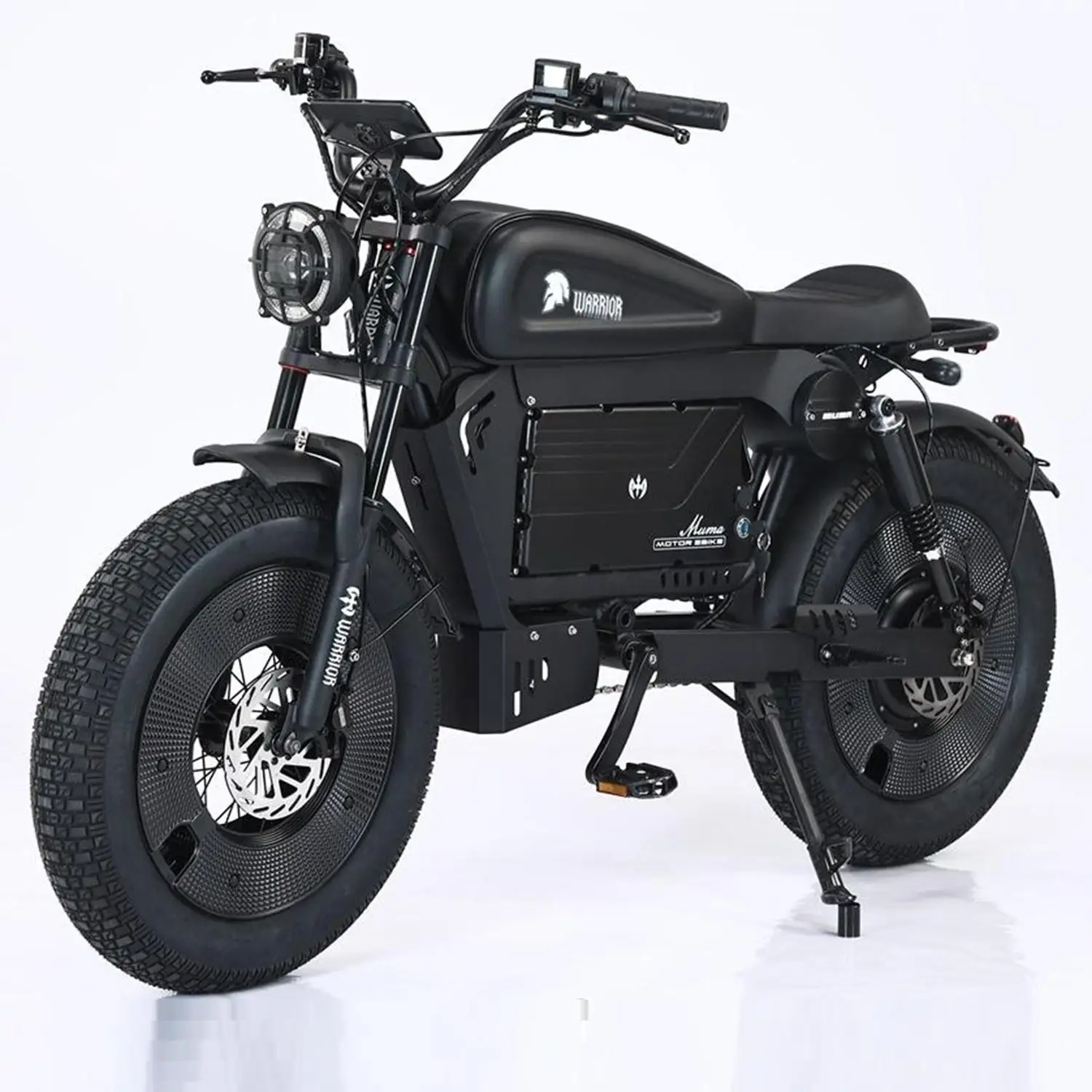 

Black Warrior Electric Bicycle Lithium Battery High Quality Electric Road Bicycle