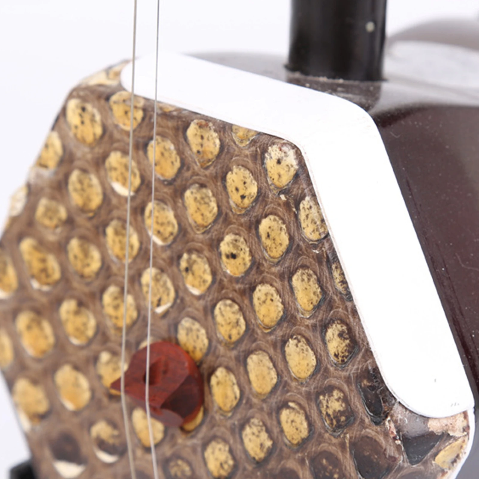 

3 Pcs Erhu Corner Slices Crash-proof Wear-resistant Protection Films Musical Instrument Accessories High Cost