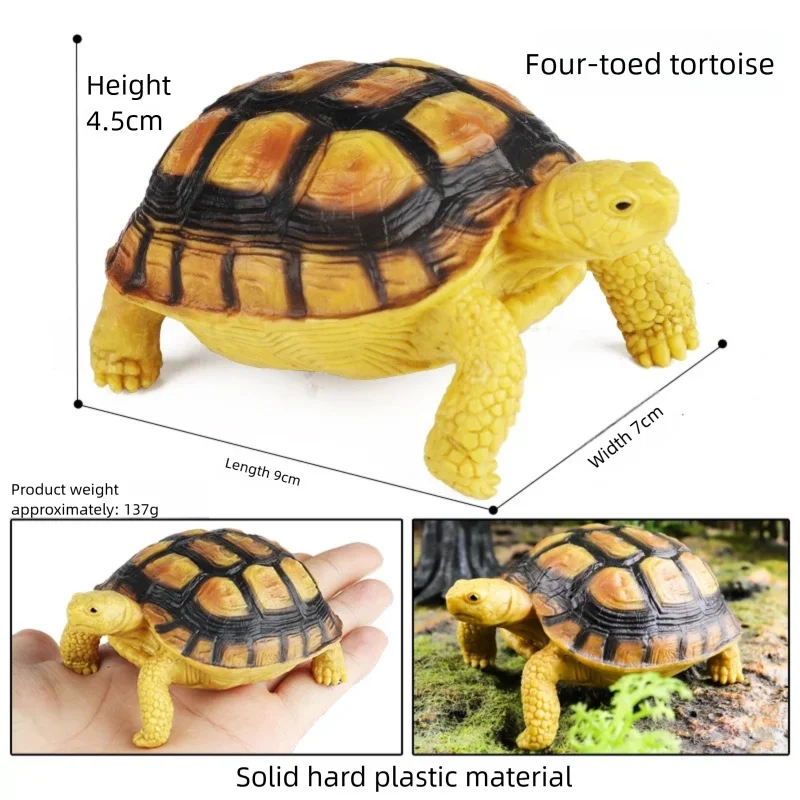 Oenux Simulations-Schildkröten-Set: Alligator, Galapagos-Schildkröte, Chinesische Weichschildkröte Figuren und Puppen – Detail 8