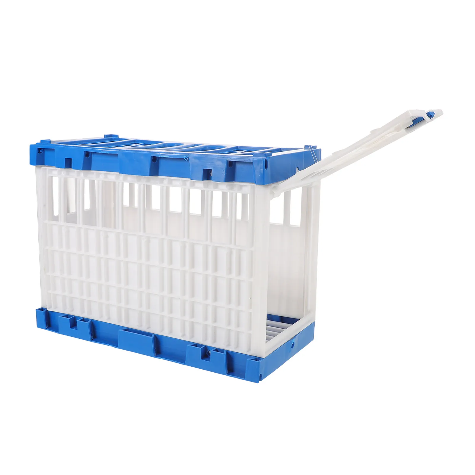 Portable Pigeon Basket Lightweight Plastic Carrier for Racing Training Showing Club Transport