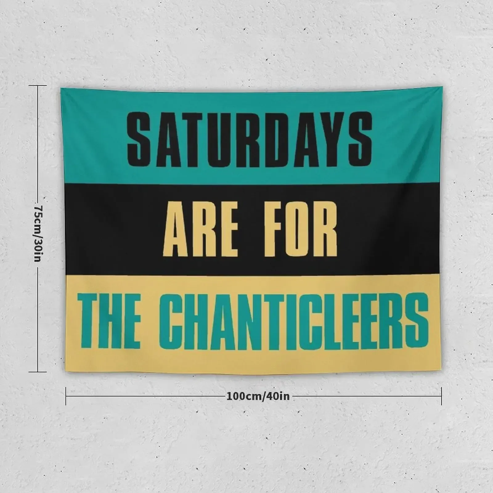 Saturdays are for The Chanticleers, Coastal Carolina University Tapestry Nordic Home Decor Room Decorations Tapestry