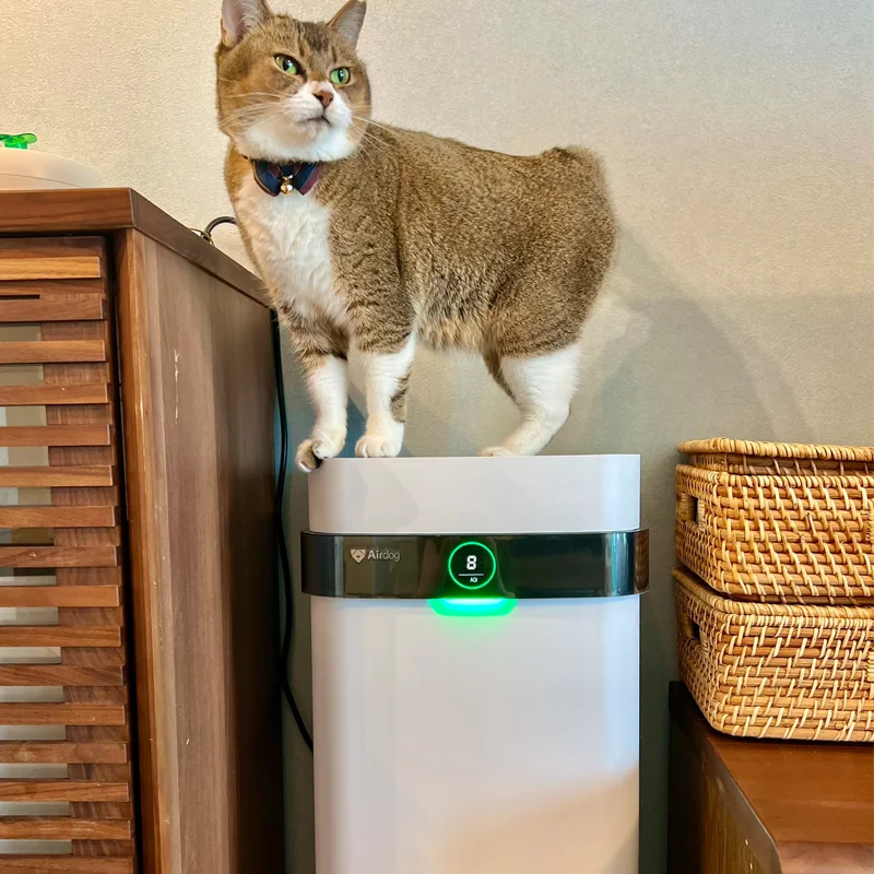 

Устранитель запаха для собак и кошек X5: Лучший очиститель воздуха для домашних животных с моющимся фильтром