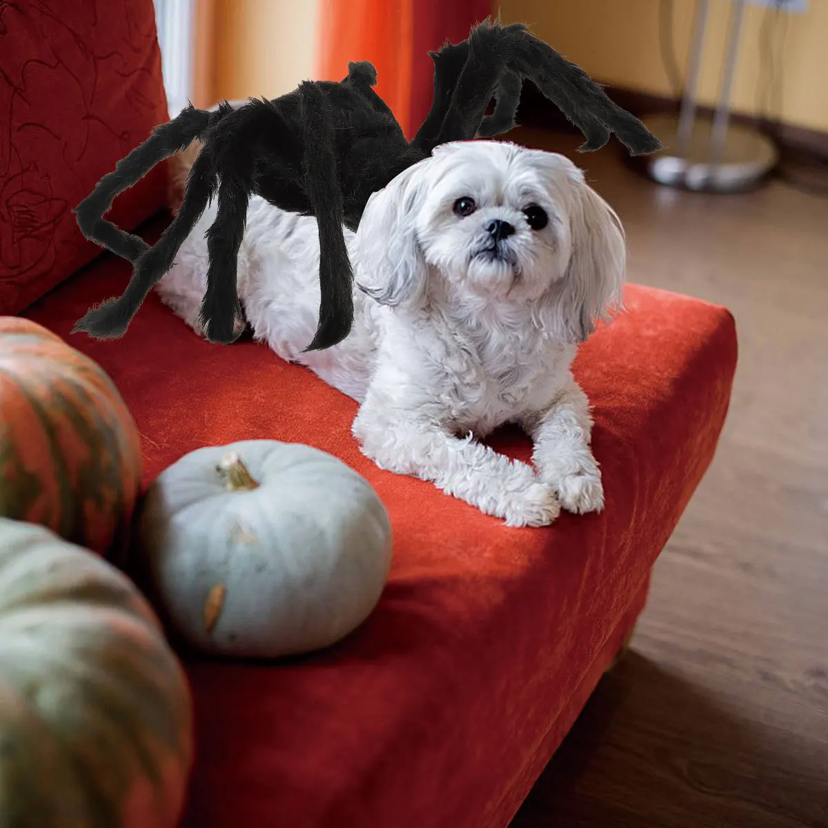

Spider Halloween Costume Dog Cat Cosplay Apparel 8 Simulated Legs Black Halloween Pet Costume Pet Supplies Party Decor