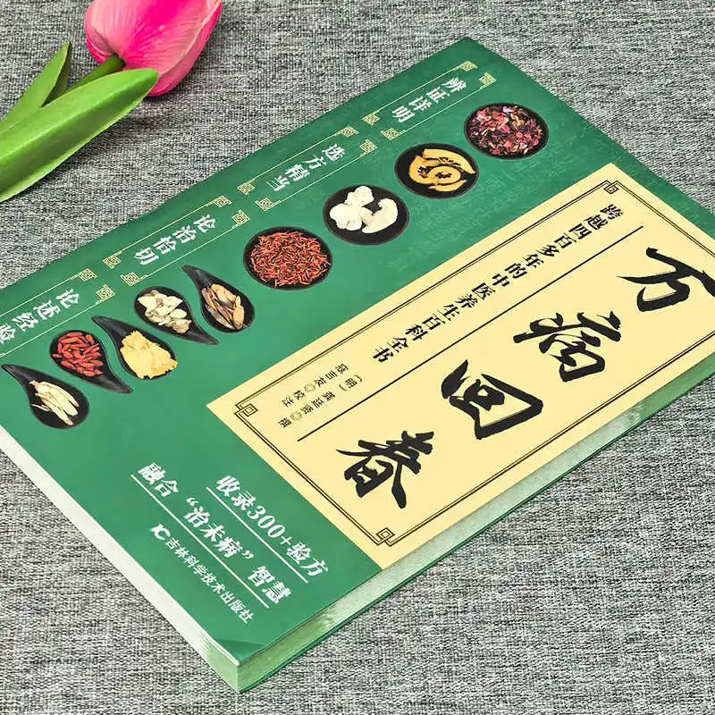 Wan Bing Hui Chun: More Than 300 Verified Prescriptions & TCM Treatment Syndrome Differentiation Guide