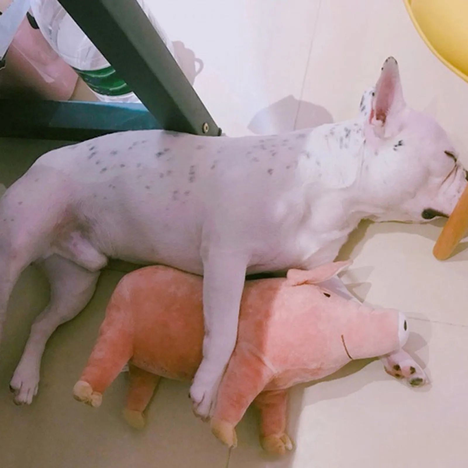 

2Pcs Pig Gentle PP Cotton Filled for Puppies Kittens Kids Nursery Decor Hugging Pillow Childrens Day