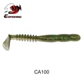 CA100