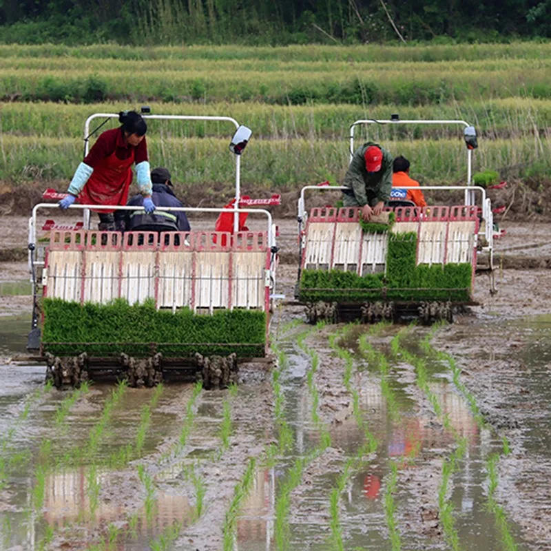 Small hand-held automatic rice transplanter, six rows of seeding machine, two rows of seedling planting machine