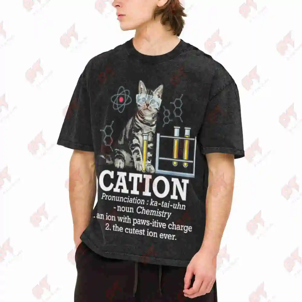 Chemistry Cat Cation Anion Pun Na Cl Vintage Washed Tee Pure Cotton T-Shirt