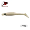 PA12