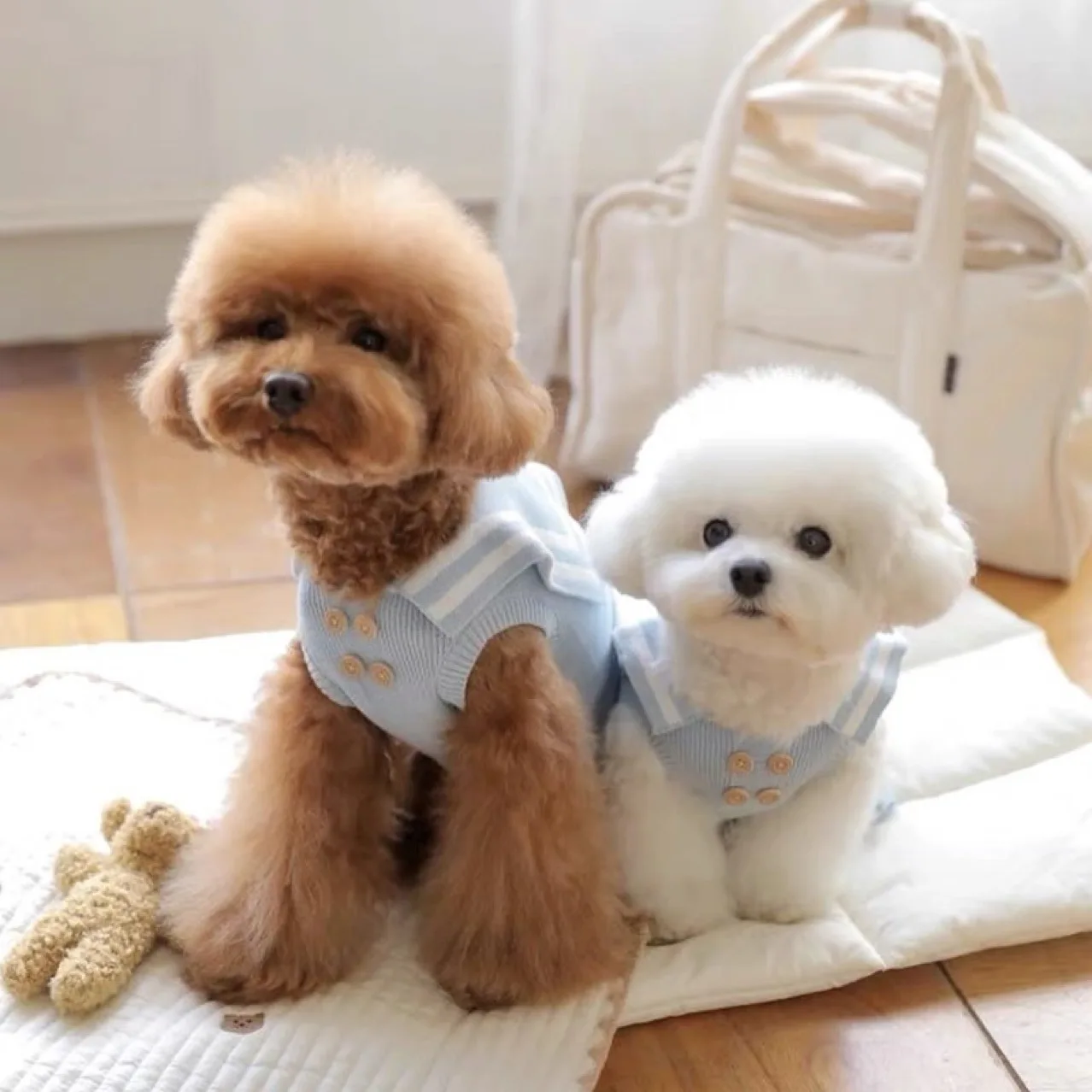 Pet Knitted Sweater Dog Autumn/Winter Dress Teddy Bears Maltese Yorkshire Small Dog Cat Dog Clothes for Small Dogs Puppy Clothes