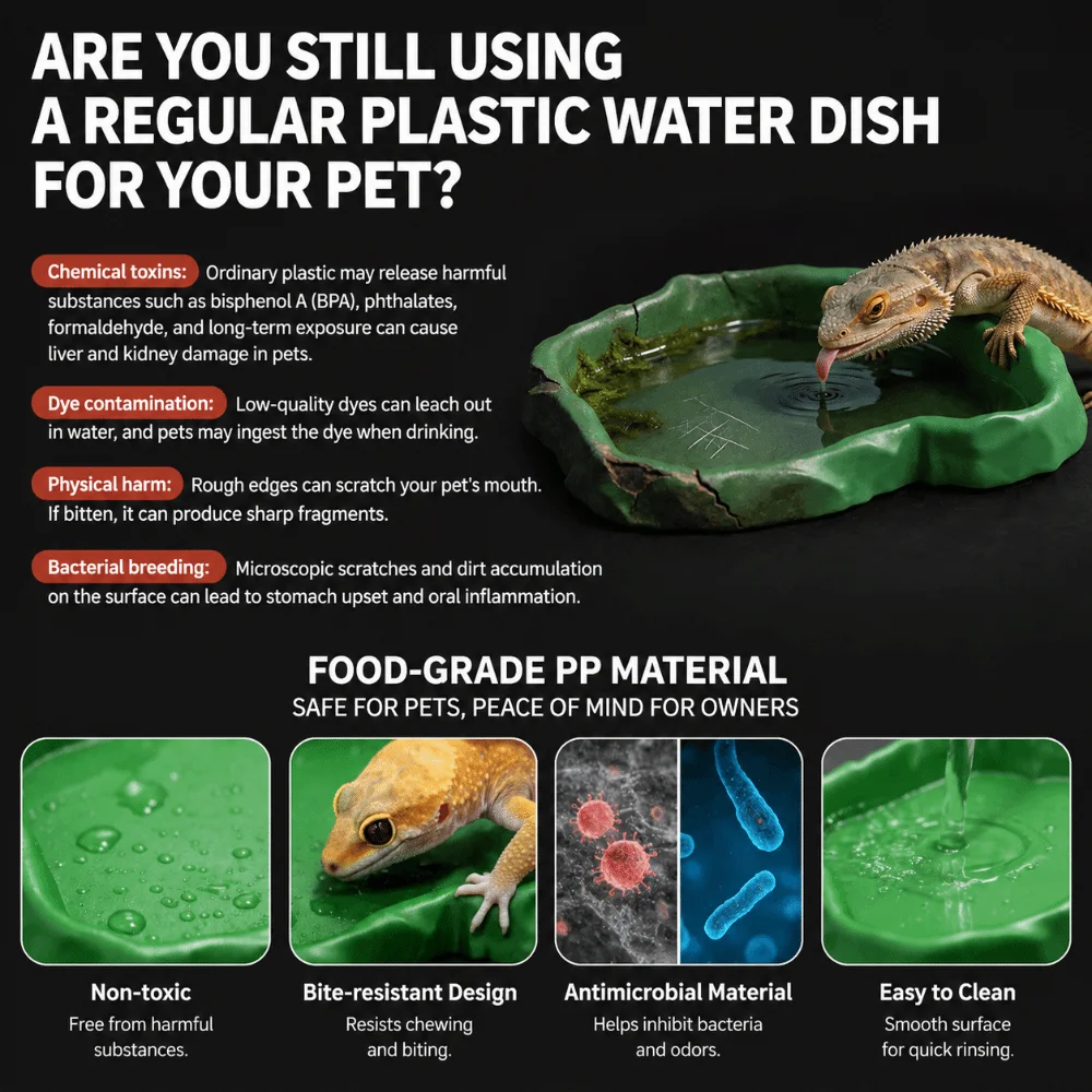 Ciotola per rettili in resina  - Water Dish Reptile recensione e prezzo