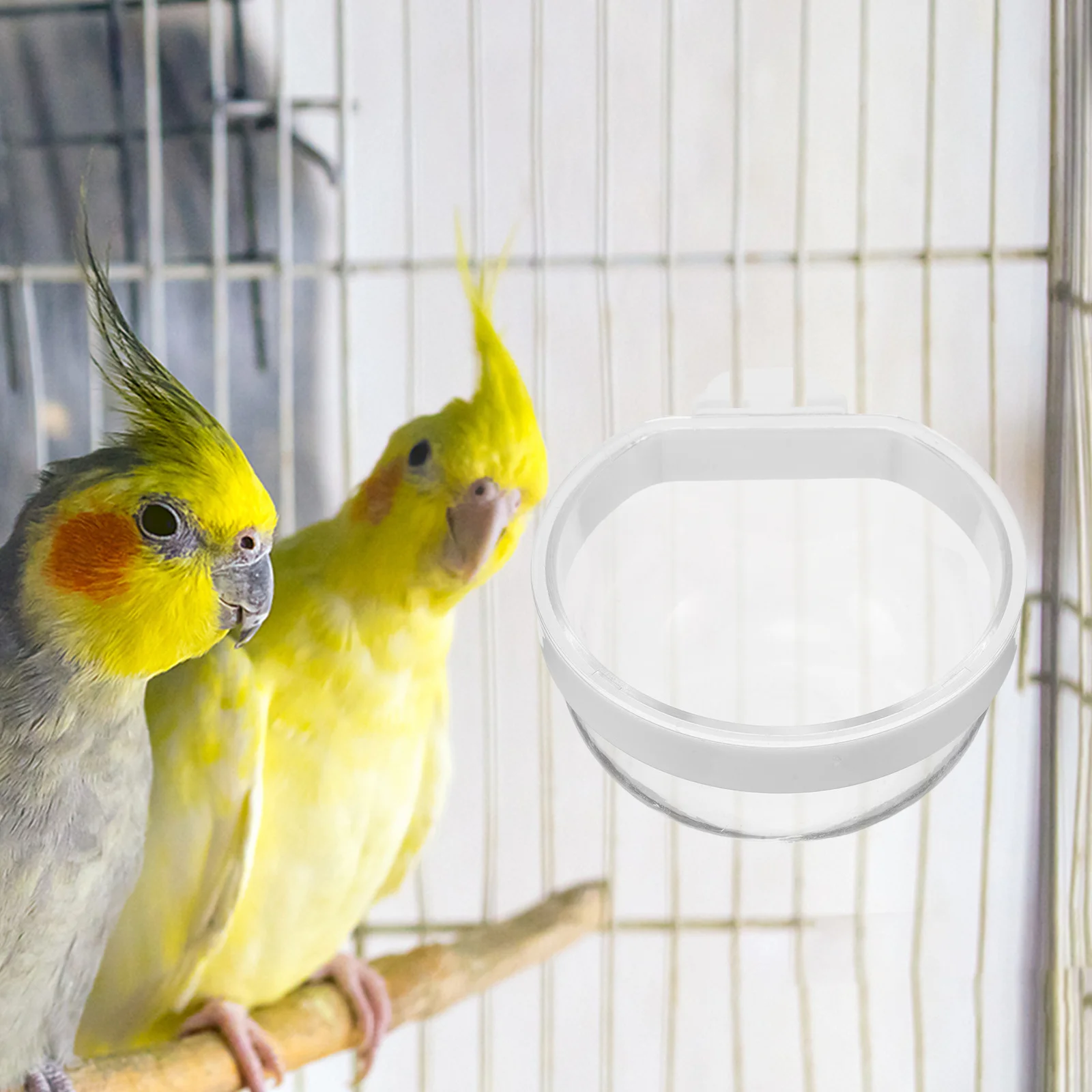 

4Pcs Transparent Parrot Feeder Hanging Bird Water Bowl Detachable Spill-Proof Design for Cockatiel Budgie Small Bird Cage
