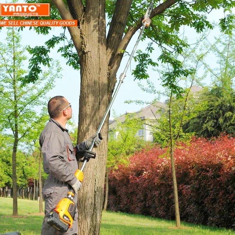 Cordless 36 V Electric Pole Saw Garden Tree Branch Cutter Battery Chainsaw Shears for Garden