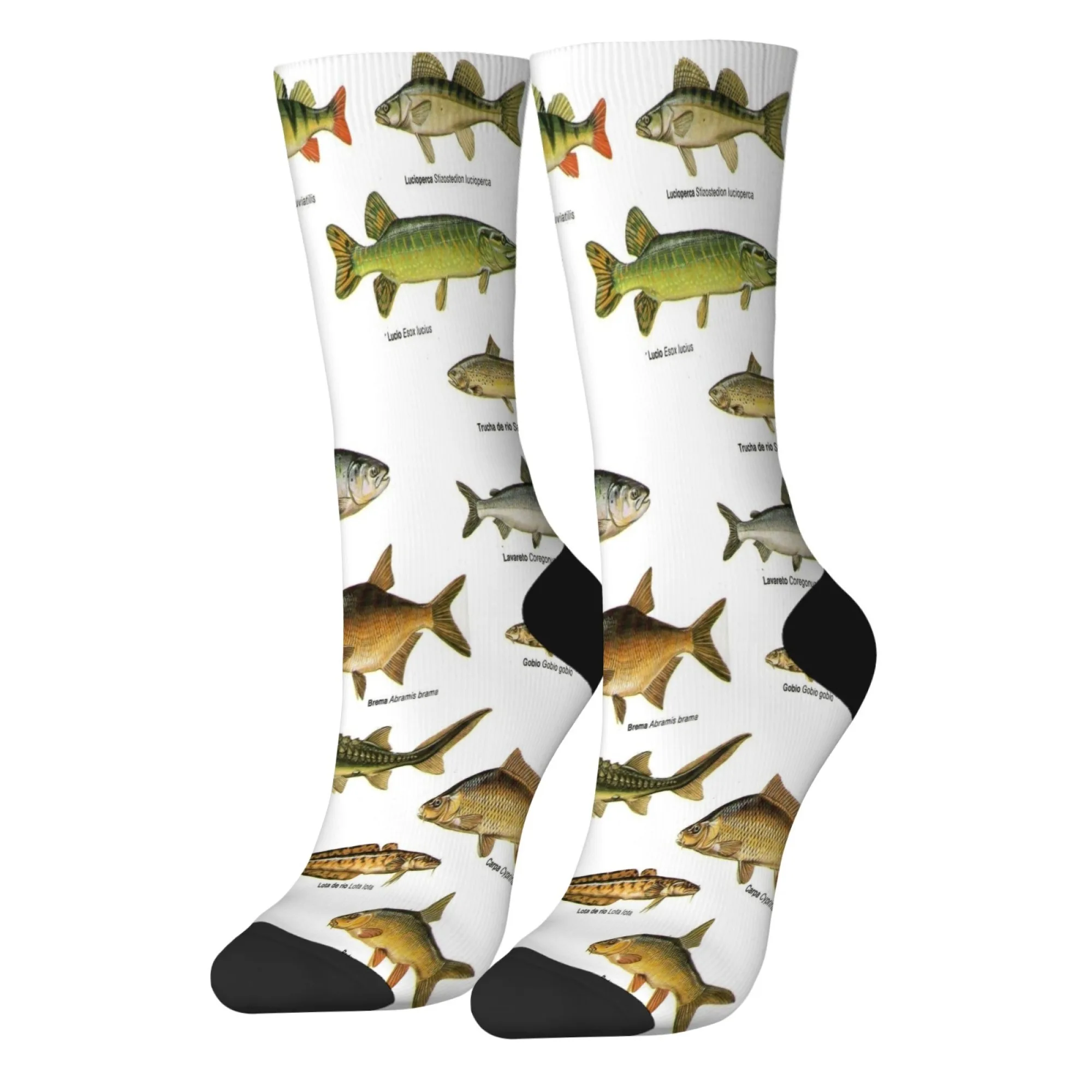 1 組のメンズソックス 面白い魚柄 新鮮で明るい ファッショナブルで快適なオールシーズン対応のノベルティソックス ギフト