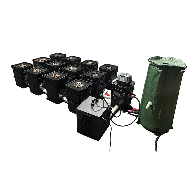 27L 12PC buckets RDWC indoor hydroponics system with water chiller 110v or 220v voltage