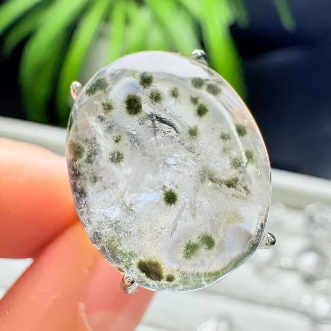 unite-une-piece-925-argent-avec-special-orchin-de-mer-naturel-quartz-cristal-guerison-cacochon-pierre-bagues-pour-cadeau