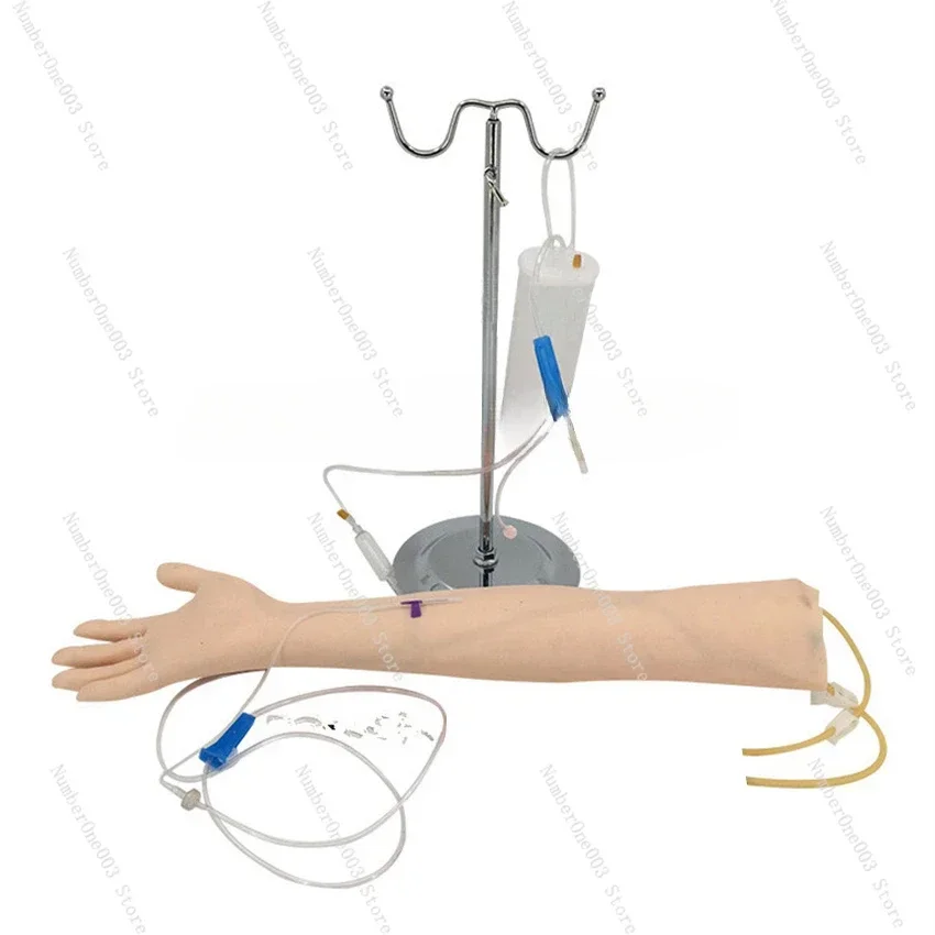 Advanced arm Anatomical Phlebotomy Venipuncture Practice Model anatomyInjection practice Medical Simulator Nurse Training kit