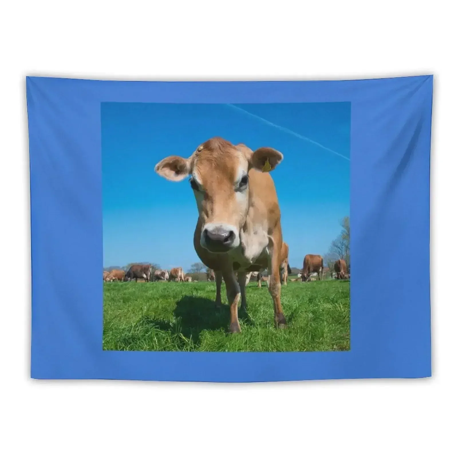 

Jersey Moo Tapestry Wall Hanging Decor Room Decorations Aesthetics Bedroom Decorations Christmas Decoration Tapestry