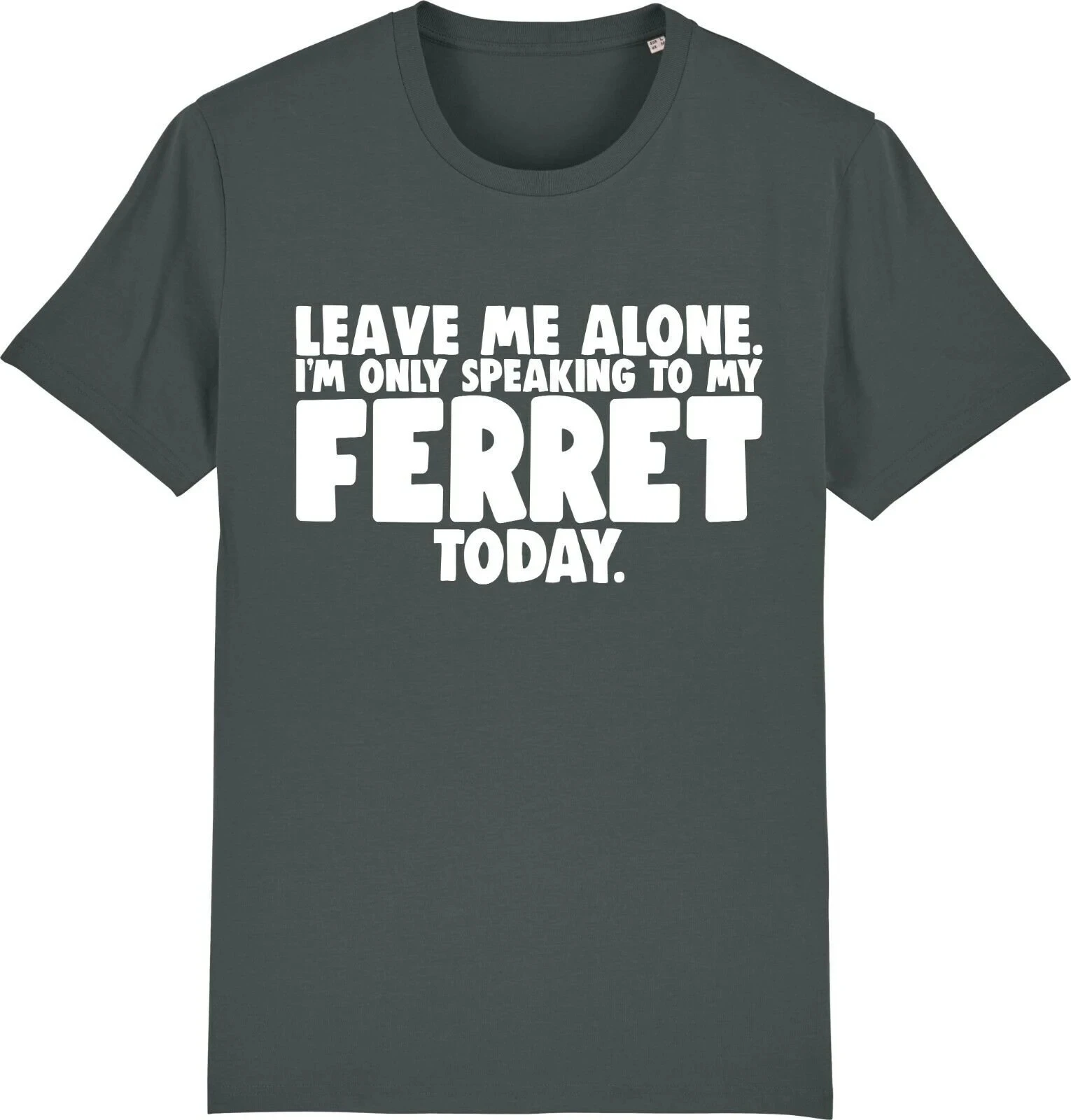 Men's Summer Fashion Casual Short-sleeved Shirt  Leave Me Alone - I'm Only Speaking To My Ferret Today Funny T-shirt