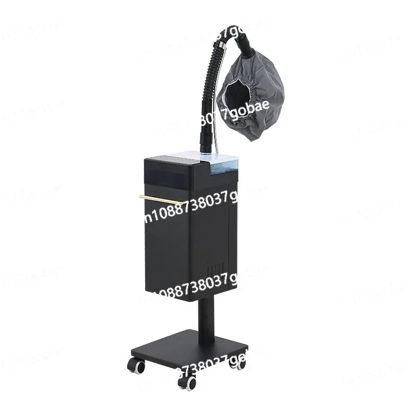 جهاز العناية بالشعر جهاز العناية بالشعر آلة الزيت آلة رش متعددة الوظائف آلة الزيت الأيونات السالبة أداة النانو العناية بالمنتجعات الصحية #1