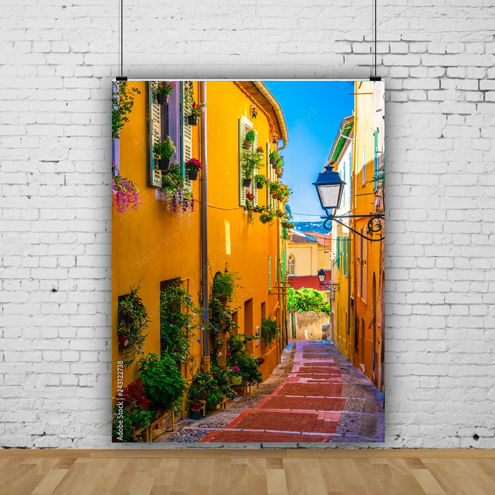 

SHUOZHIKE Old Town Street View Scenery Photography Backdrops Art Fabric Props Travel Portrait Photo Backgrounds Studio ST-02