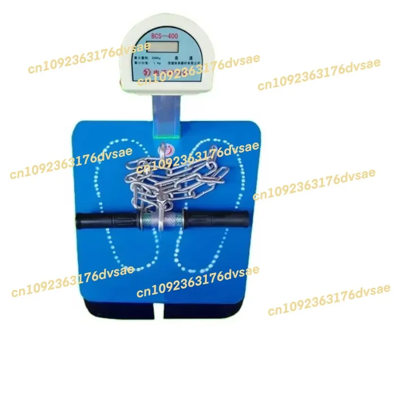 NIEUW Op voorraad Rug-been-borstdynamometer medische gezondheidsapparatuur