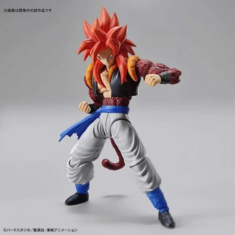 In Stock Original Bandai Figure-rise Standard Dragon Ball GT Super Saiyan 4 Gogeta Assembly Anime Action Figure Model Toys Gifts