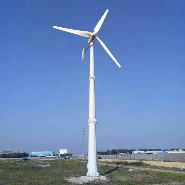 Hot Sale 10kw Wind Turbine Price/ Residential Wind Power Price/ 10000 Watt Wind Generator For Farm