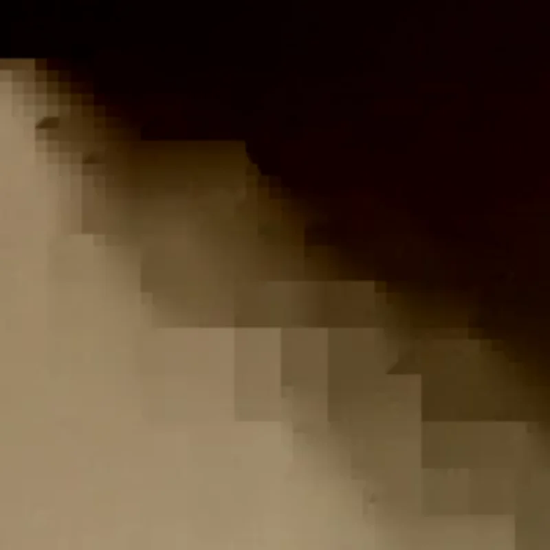 

Ginkgo Shape Resin Face Gua Sha Board Gua Sha Massage Board For Face Firm Skin Care Gua Sha SPA Physical Therapy Beauty Product