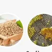 Cold Press Oil Machine Hydraulic Almond Sunflower Walnuts Peanut Sesame Oil Press Machine