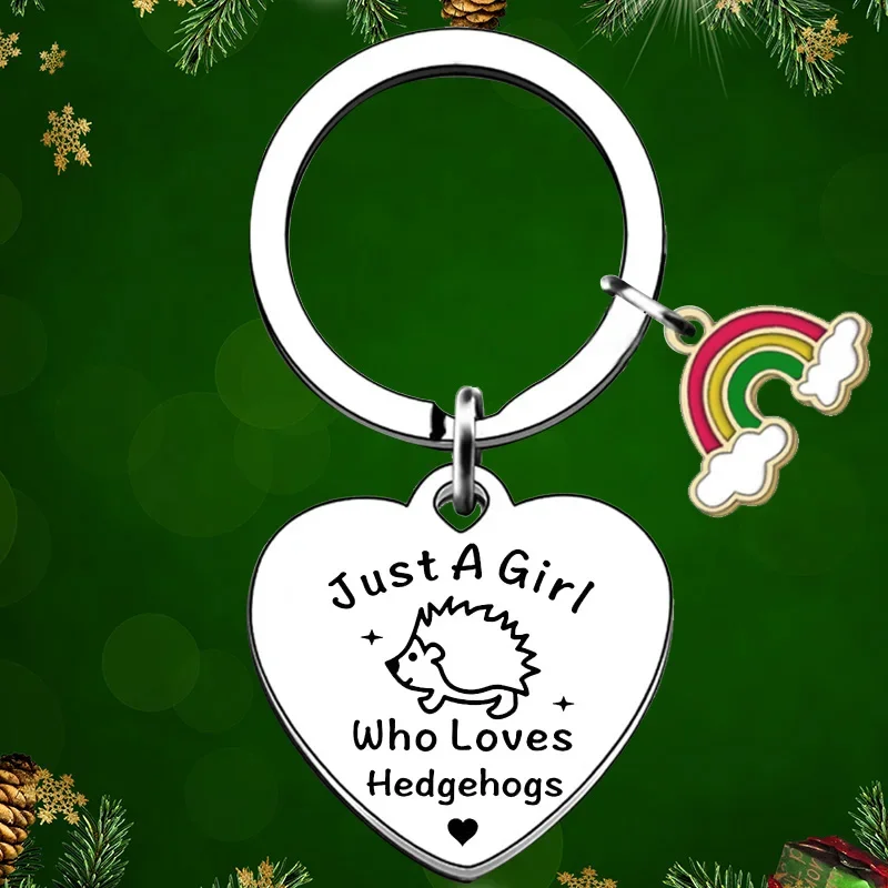 Daughter Sister Girls Best Friend Keychain Pendant Girls Hedgehogs Lover Key Chains Just A Girl Who Loves Hedgehogs Gifts