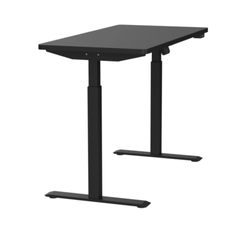 Whole Piece Electric Standing Desk, 48 x 24 Inches Height Adjustable Desk, Sit Stand Desk Home Office Desks - Black