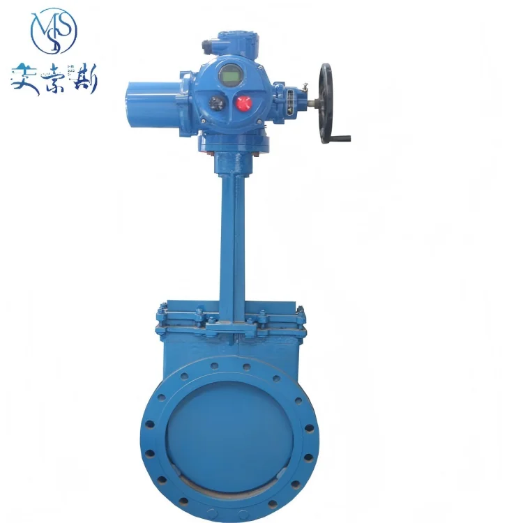

Modbus Remote Control DC24V Gate Valve Butterfly Valve WCB Ball Cast Iron CF PN10 Electric Actuator 4-20mA NO/OFF Type OEM/ODM