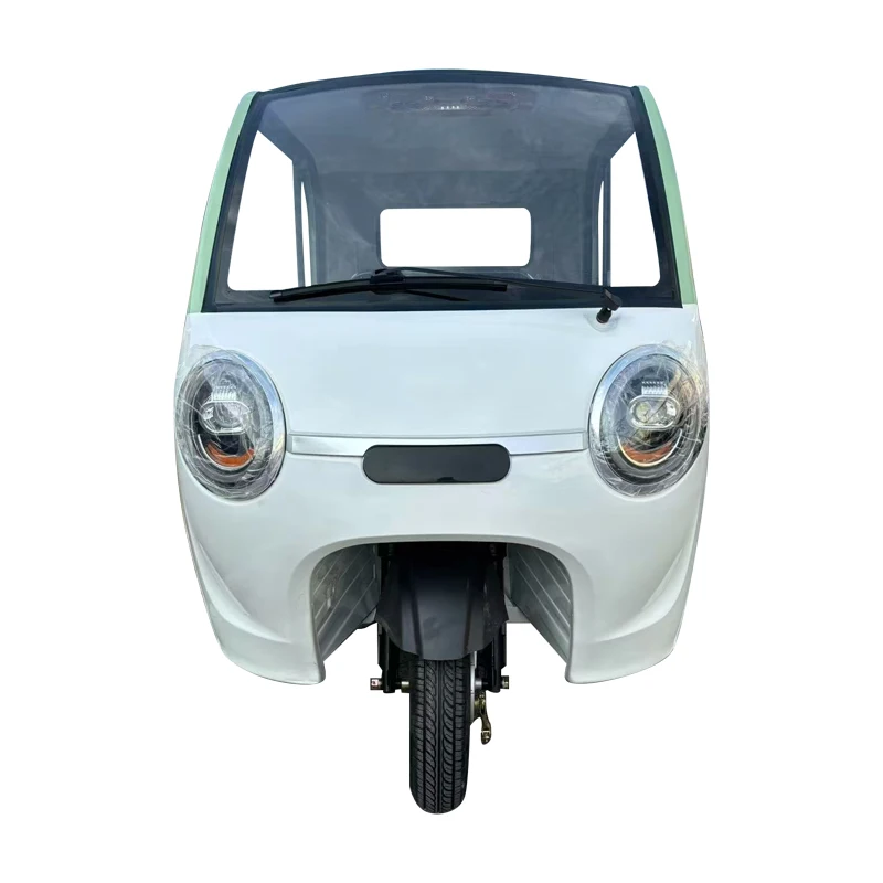 

Fully enclosed electric tricycle Small household adult transportation Ladies pick up and drop off children