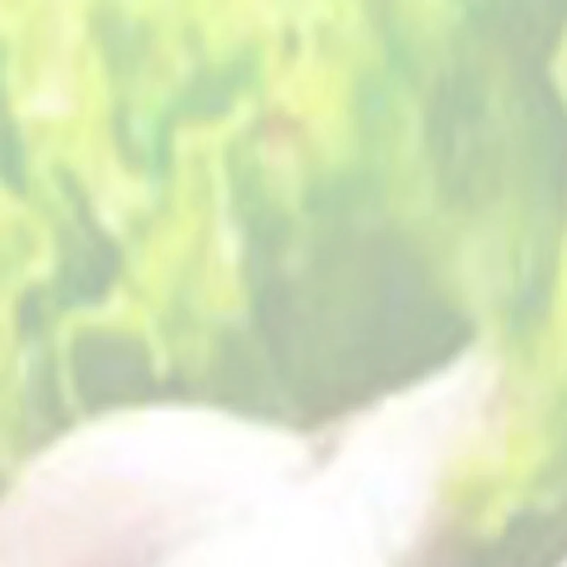 

Вертикальная машина для нарезки мяса 110В, профессиональный слайсер для мяса для ресторанов, производительность 800 кг/час, мясорубка