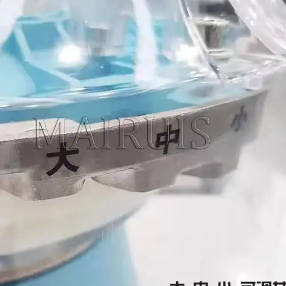 

MairuisElectric Garlic Single Cloves Splitter Automatic Garlic Seed Clove Separator Garlic Bulb Breaking Machine