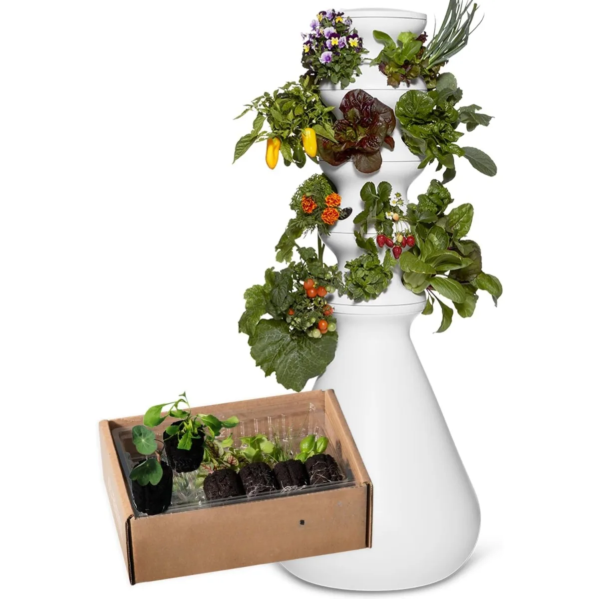 Farmstand Starter Kit + Seedlings | Medium Hydroponic Growing System Kit | Self-Watering Outdoor Vertical Garden Planter Tower