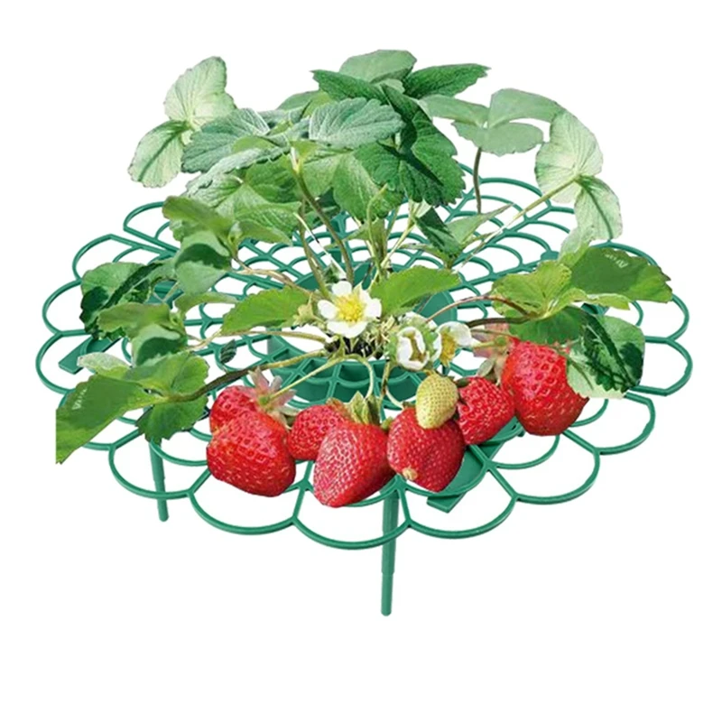 Soporte de marco de 10 piezas para fresa, estante de plantación para balcón, soporte para frutas, plantas, flores, escalada, vid, pilar de jardinería, gran oferta