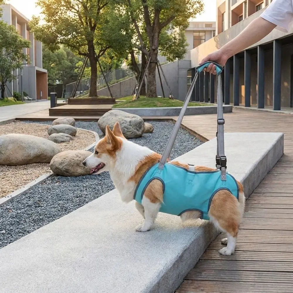Adjustable Pet Auxiliary Vest Thicken Handle Full Body Support Dog Chest Back Leash Mobility Aid Soft Lining Support Harness