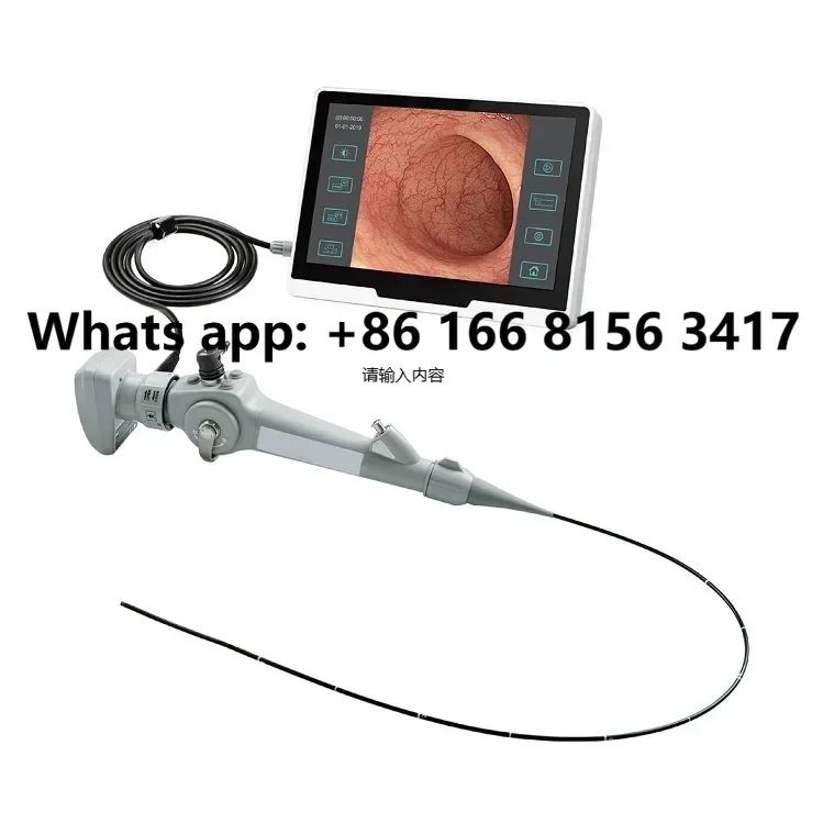 

Portable USB Veterinary Endoscope Non Flexible Medica USB Endoscope For Horse with 1.6m Working Channel