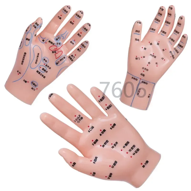 

3 шт. детские ручные модели для акупунктурного точечного массажа, прижигания, рефлекторная зона Туина, китайская медицина, обучение и обучение