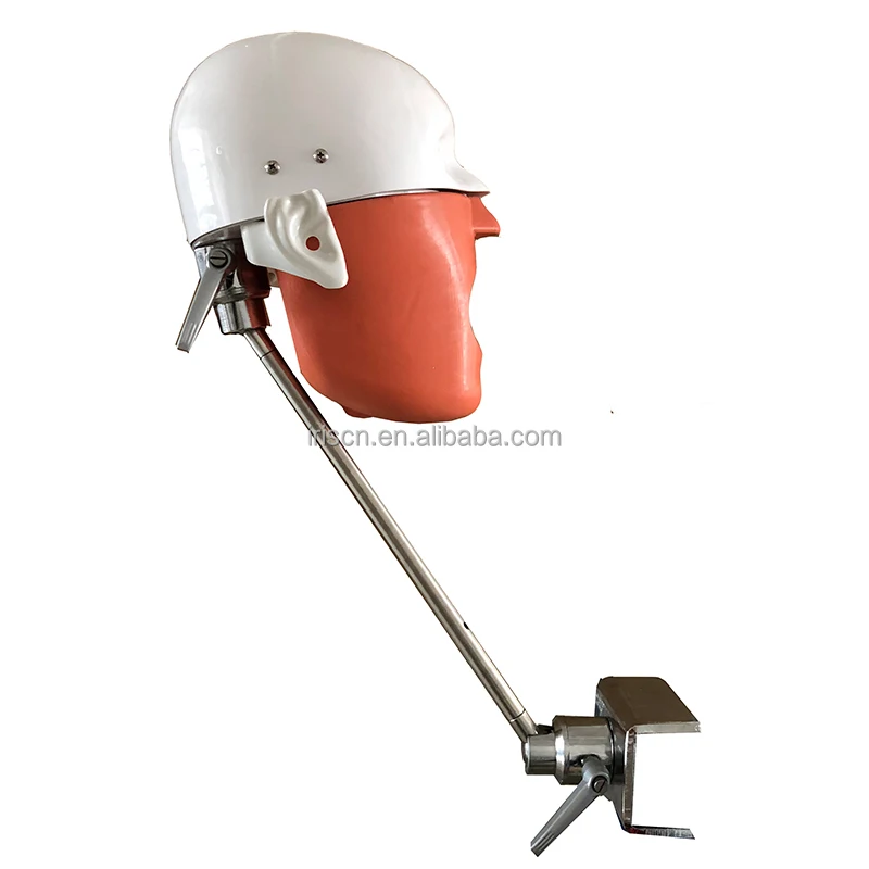 Dental Manikin, Transparent Phantom Head Model, Lightweight Education Simulator, for Jaw Models, Teaching Training Tool