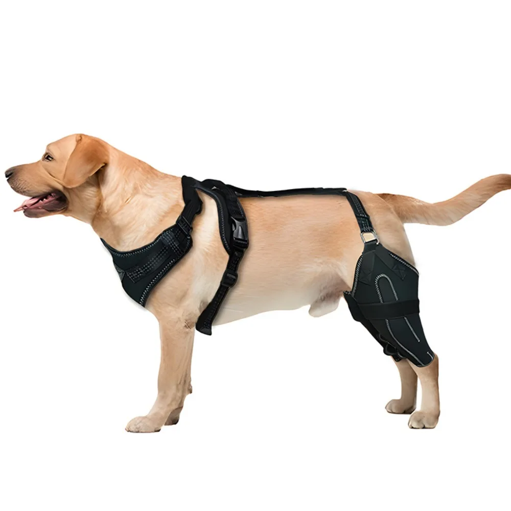 

Reduces Pain Hind Leg Dog Leg Brace Auxiliary Belt Dog Leg Protectors Dog ACL Brace Support Dog Knee Rehabilitation Belt
