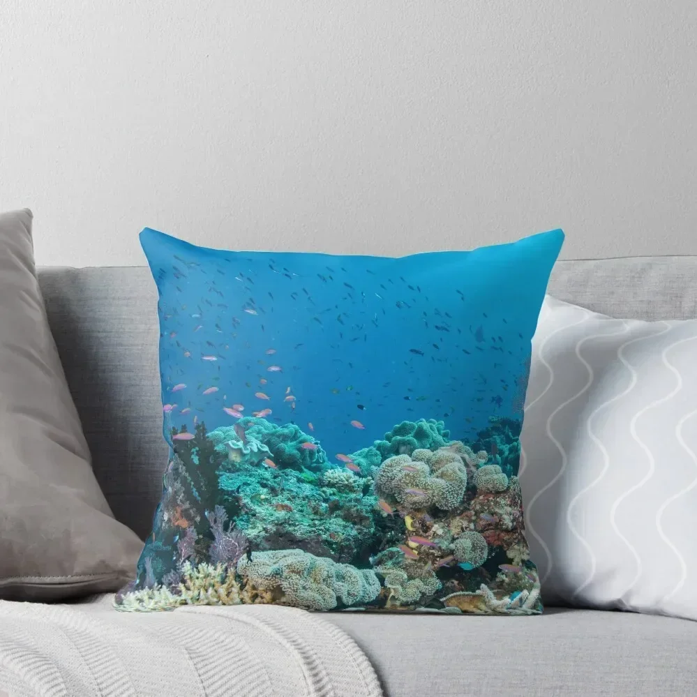 Schoolhouse Reef Throw Pillow covers for pillows autumn pillowcase pillow