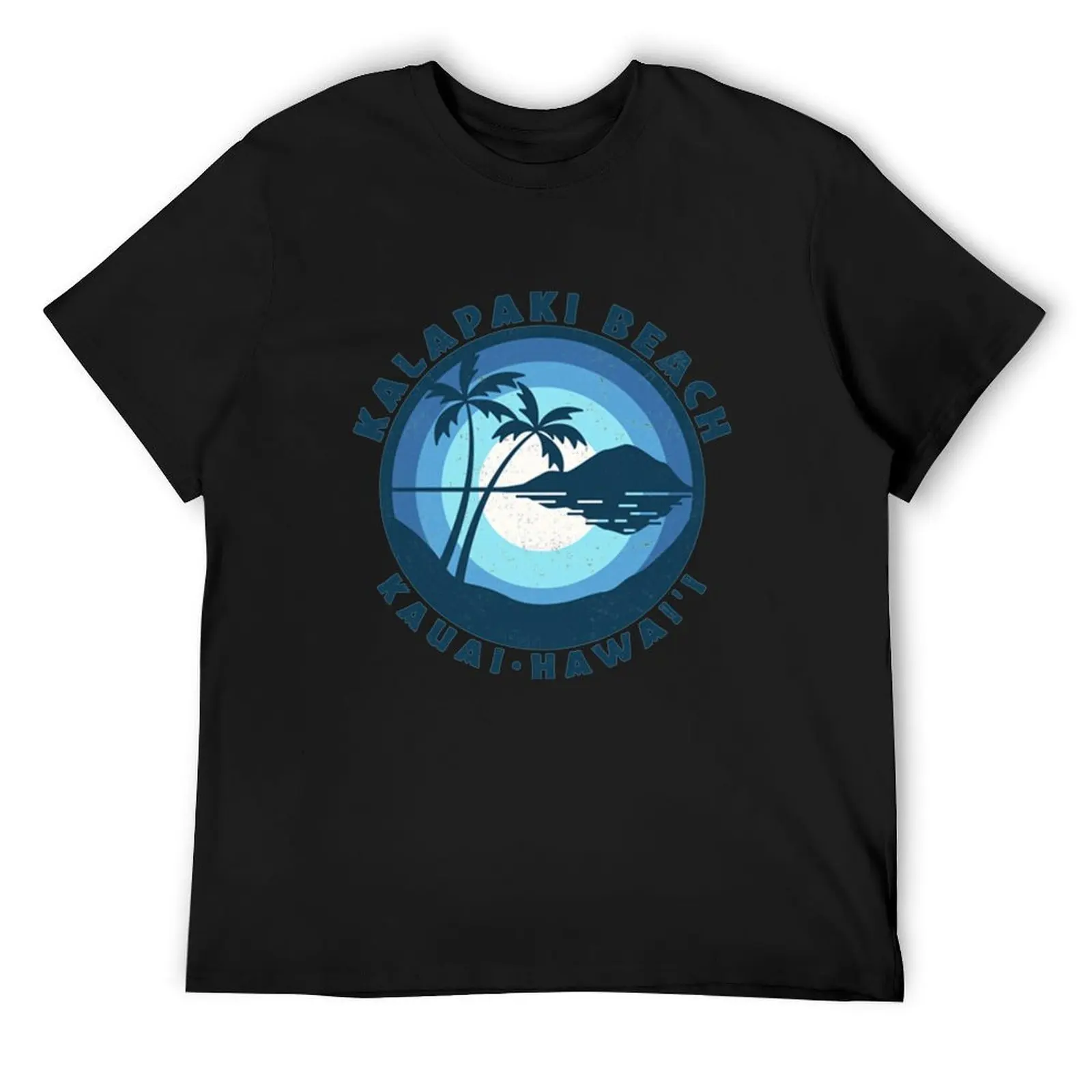 Kalapaki Beach Kauai Hawaii T-Shirt boys animal print boys whites funny t shirts men